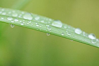 《风之少年 克罗诺亚1&2乘风归来》特典版内容公开